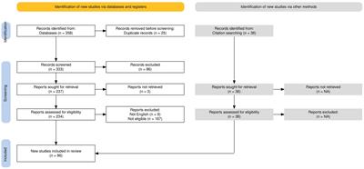 Pain in non-communicative older adults beyond dementia: a narrative review